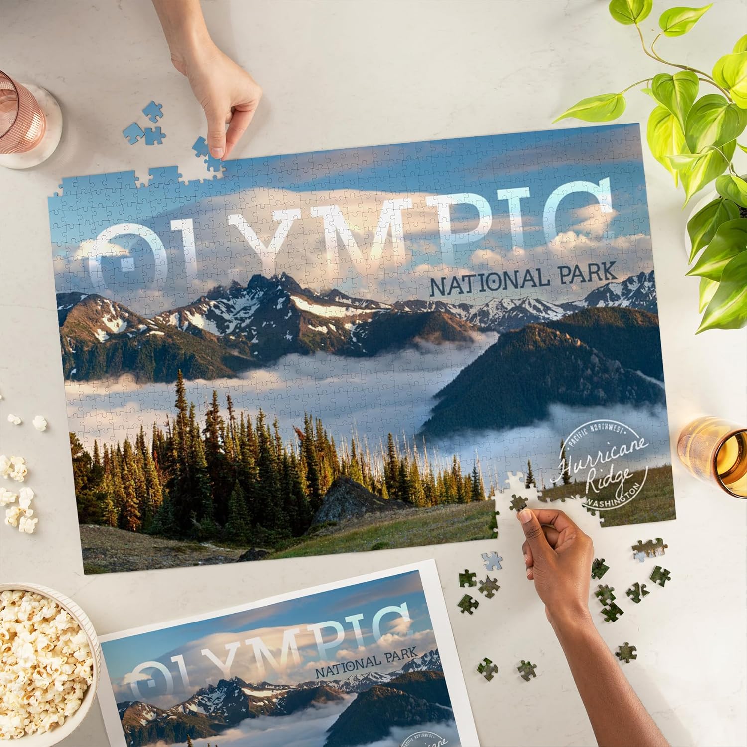 Lantern Press Olympic National Park, Washington, Photography, Hurricane Ridge Inversion 1000 Piece Jigsaw Puzzle for Adults, Made in USA with Reference Poster