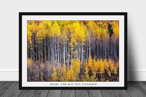 Miniatura 3 de Forest Photography Print (Not Framed) Picture of Aspen Trees Appearing as Reflection on Side of Mountain on Autumn Day at Maroon Bells Colorado