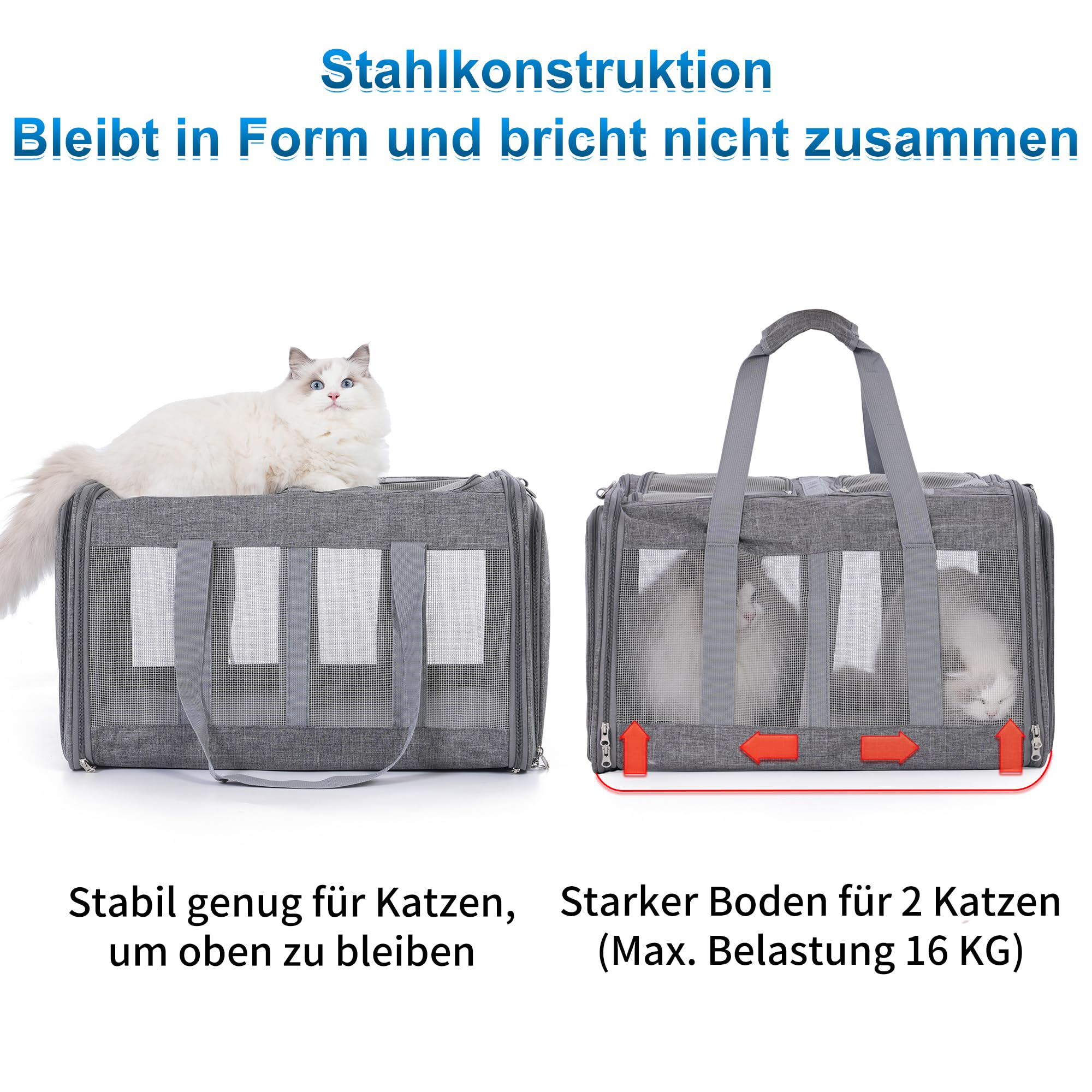 Caja de transporte para gatos para 2 gatos, plegable, color gris