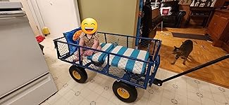 Review Image by Anna Anna