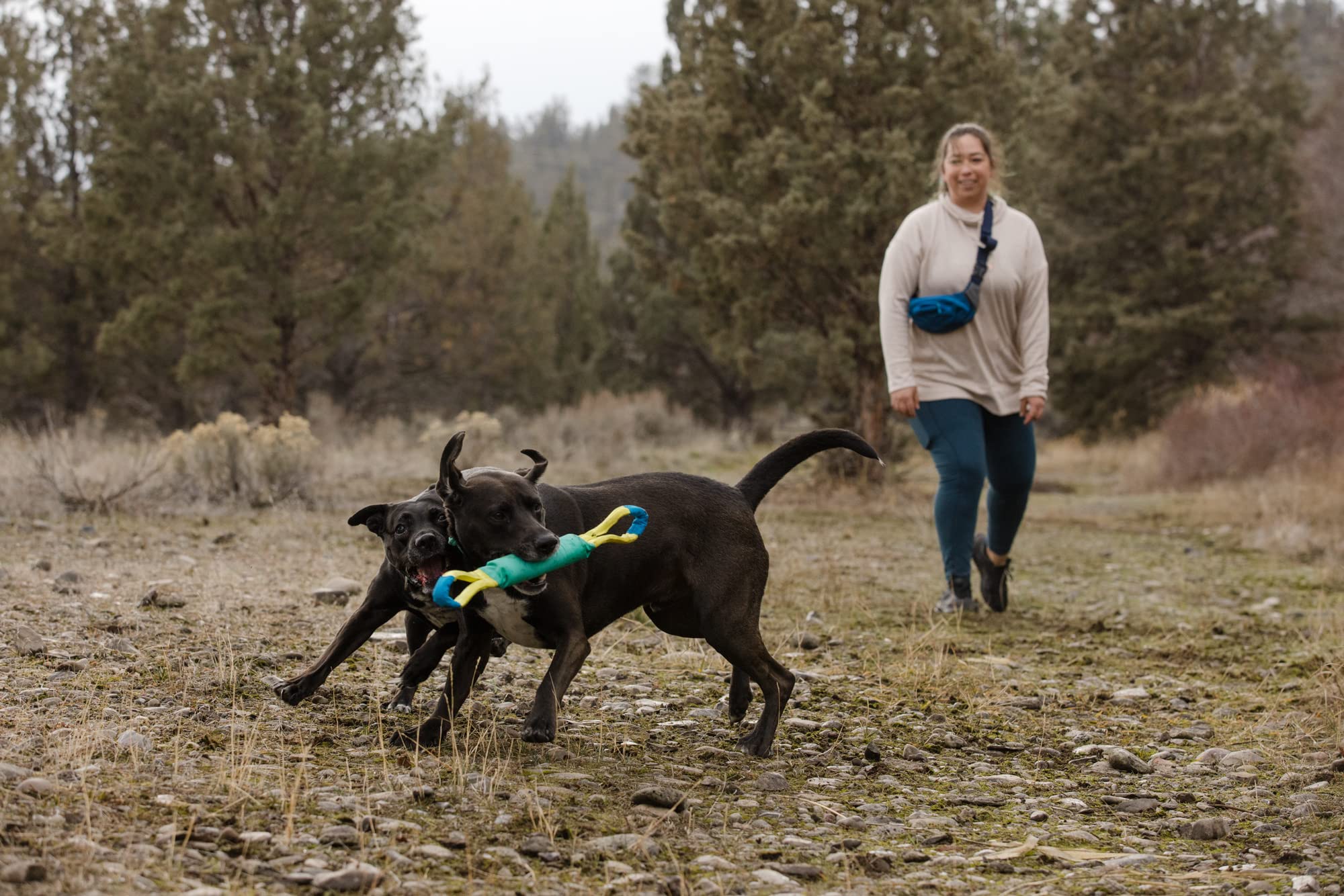 Ruffwear, Pacific Loop - Giocattolo interattivo per cani, colore: foglia di tè
