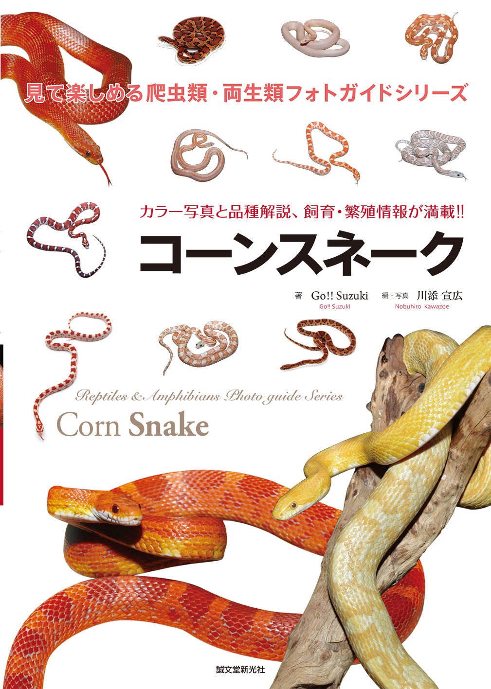 コーンスネーク 見て楽しめる爬虫類 両生類フォトガイドシリーズ Go Suzuki 宣広 川添 本 通販 Amazon コーンスネーク 見て楽しめる爬虫類 両生類フォトガイドシリーズ Go Suzuki 宣広 川添 本 通販 Amazon
