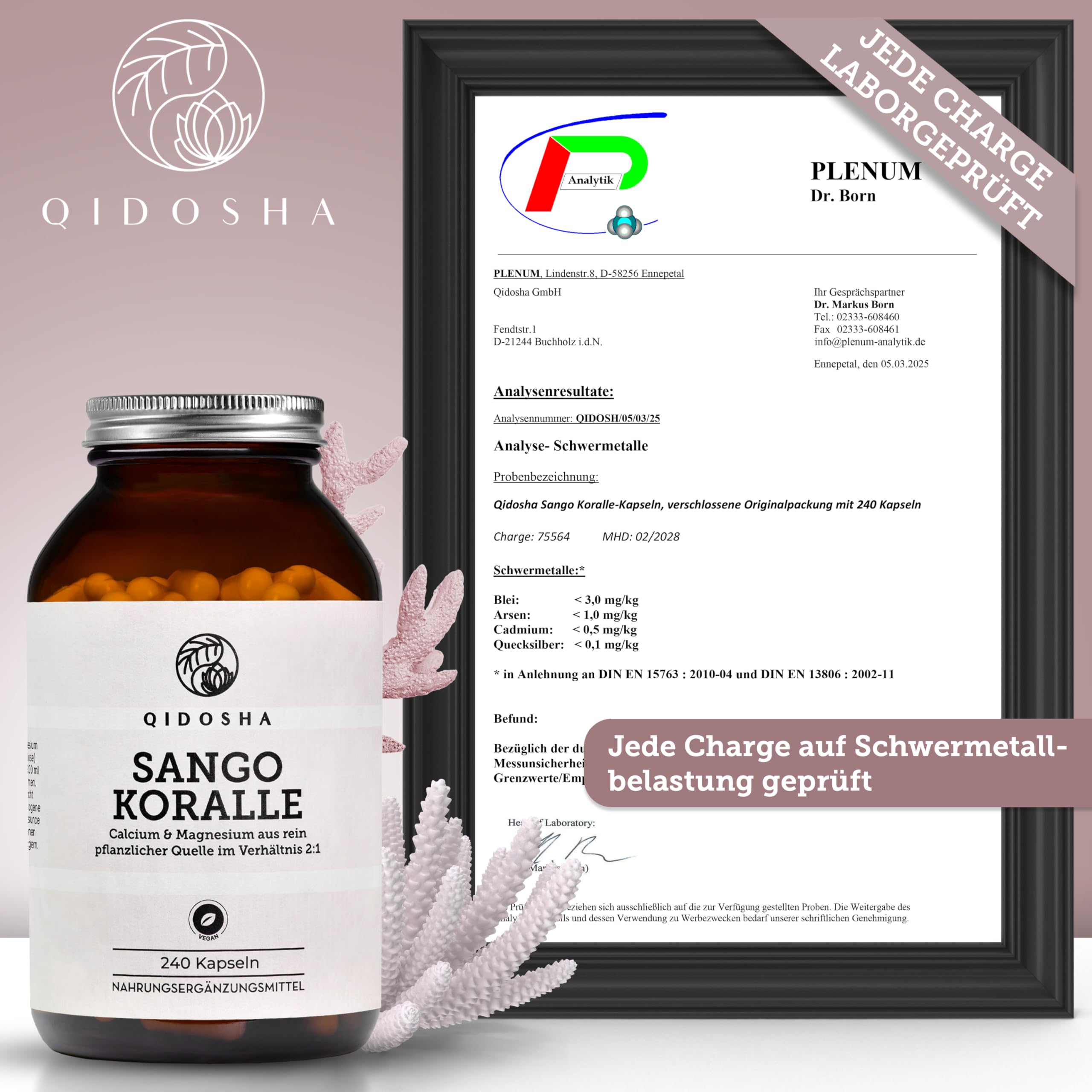 QIDOSHA® Sango Meereskoralle Kapseln, 240 Stk/Glas, hochdosiert mit 660mg Calcium & 330mg Magnesium (optimales 2:1 Verhältnis), nachhaltige Ernte, deutsche Fertigung, jede Charge laborgeprüft