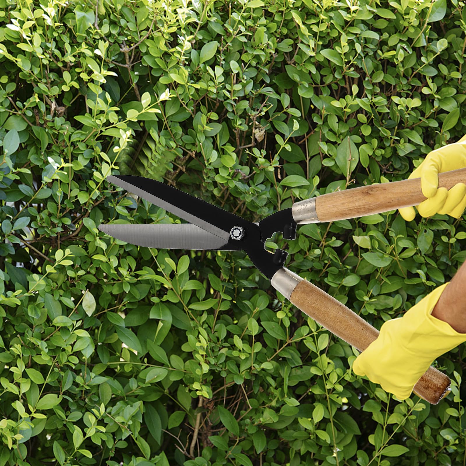 Acero al Carbono Tijeras Mango de Madera Antideslizante de Podar