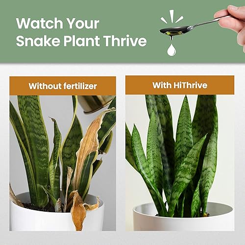 Miniatura 3 de Fertilizante para plantas de serpiente de 16 onzas para plantas de serpiente, hace 96 galones de fertilizante para plantas de interior, ideal para