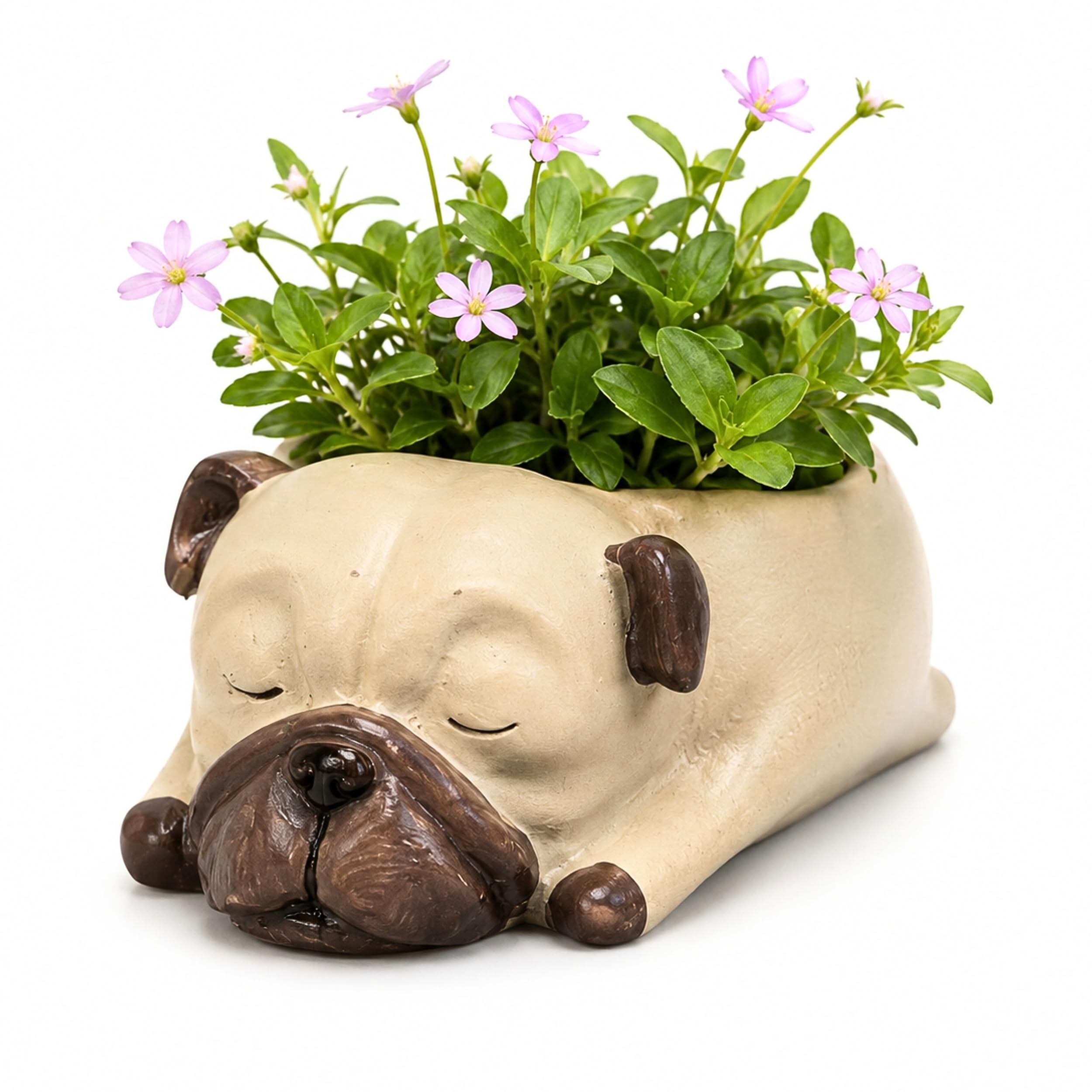 Polyresin Sleeping Pug Planter Pot (Height - 5cm) | Cute Dog Succulent Planter, Puppy Flower Pot, Animal Plant Holder for Home Decor, Office Desk, Balcony, Tabletop Garden & Gift-picture-13