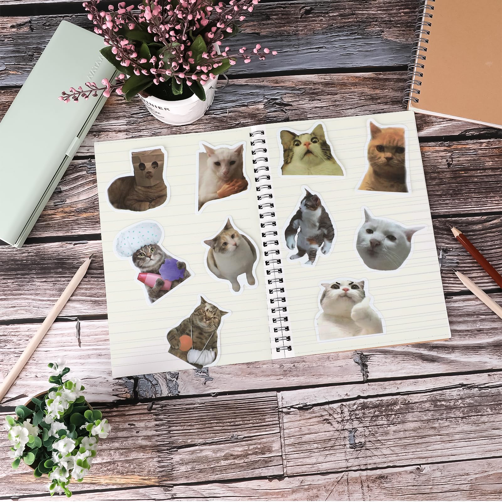 Lot De 100 Autocollants En Vinyle Motif Chat Pour Ordinateur