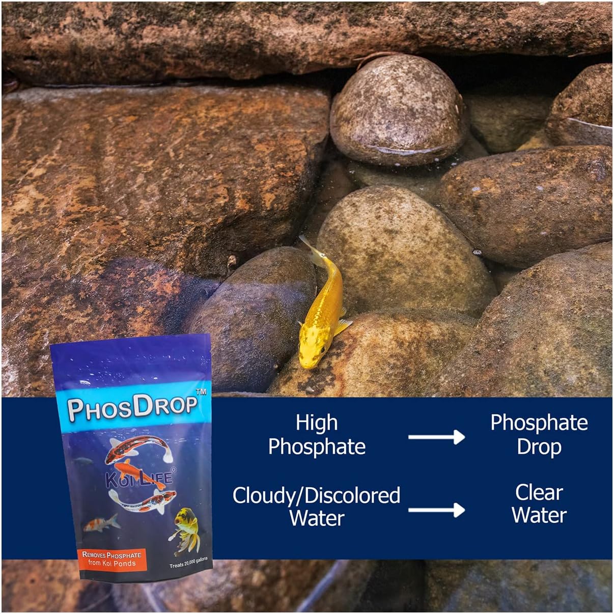 PhosDrop Phosphate Remover | Treats 20,000 gallons | Pond Shock, Rapid Clear Water Treatment