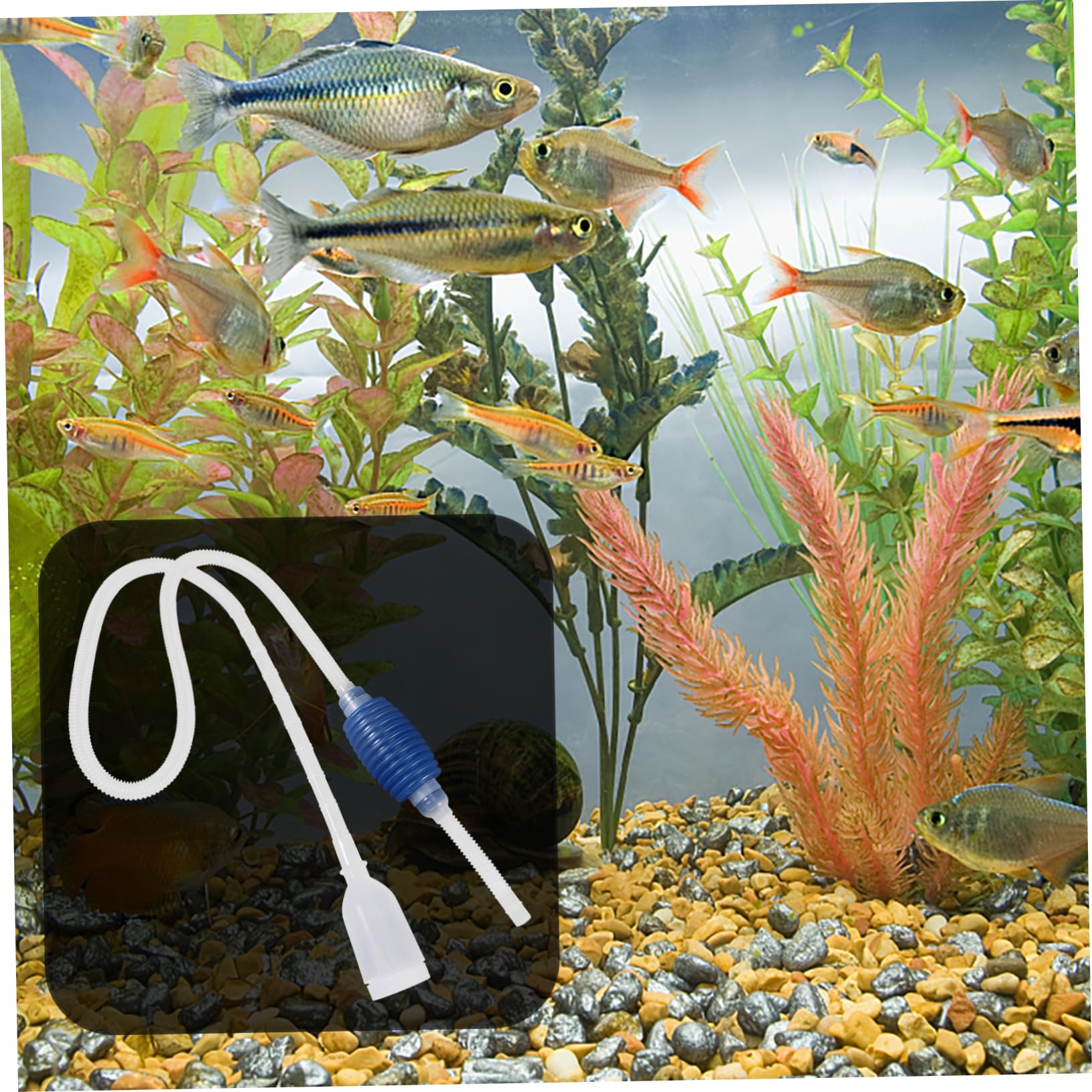 Yardwe Siphon Pump Fish Tank Aquarium Siphon Tubing Water Pump for Aquarium Maintenance