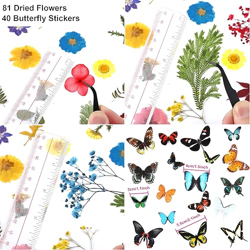 Miniatura 2 de Augshy Juego de flores secas prensadas reales con calcomanías transparentes de mariposa, calcomanías para álbumes de recortes, flores secas