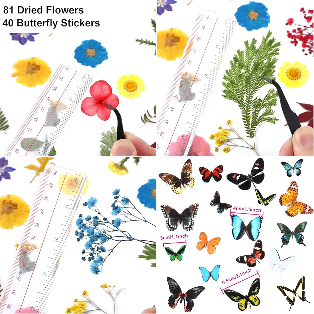 Amazon.com: Augshy Real Dried Pressed Flower Set with