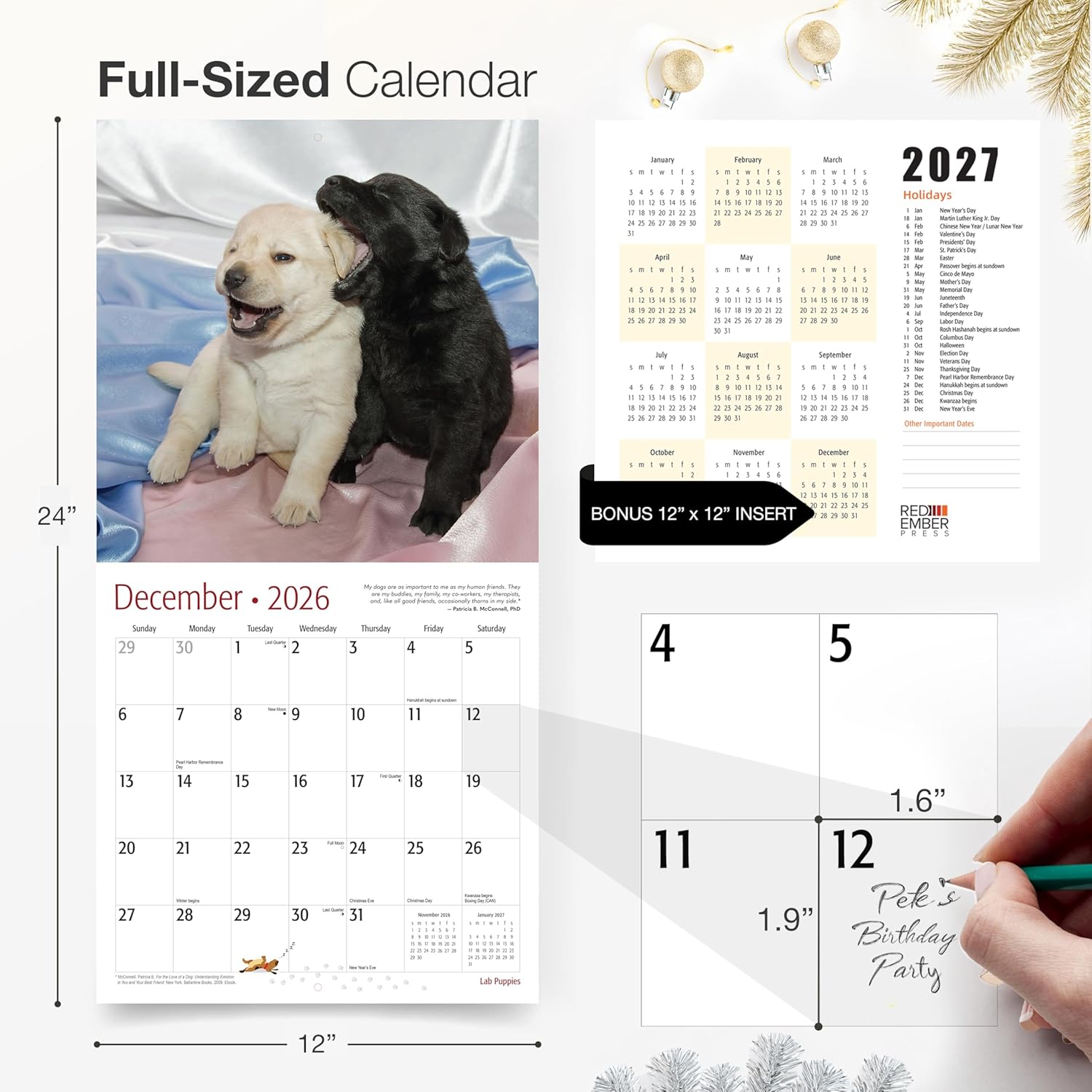 RED EMBER Select - Lab Puppies 2026 Wall Calendar 12 Month | 12" x 24" Open | Thick & Sturdy Paper | Holiday Gift | Cute Labrador Retriever Puppy Dog Calendar 2026 - Image 5
