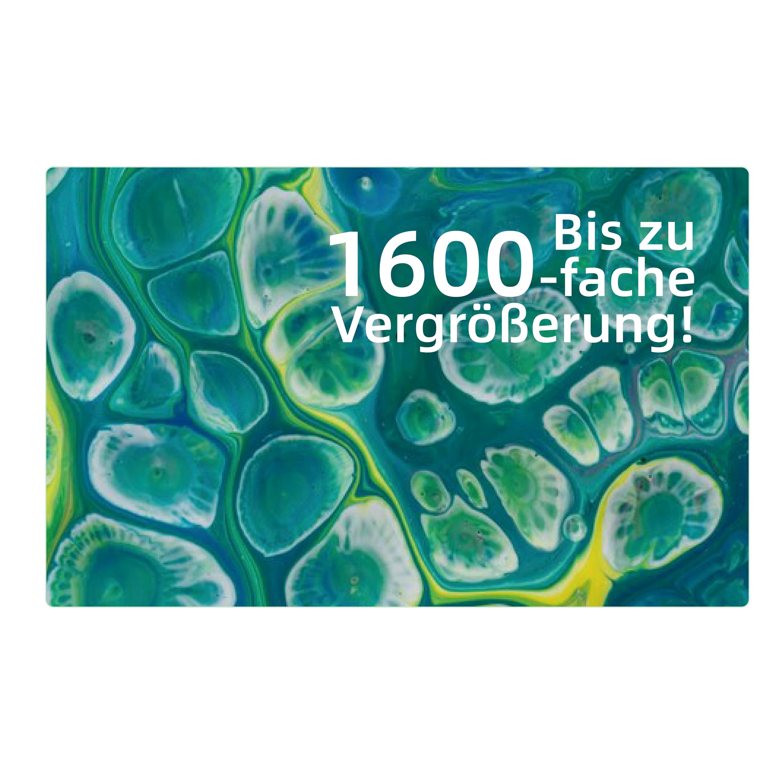 ScienceCan 1601162023de0001 zestaw laboratoryjny z mikroskopem i bogatym wyposażeniem laboratoryjnym, 1601162023de0001