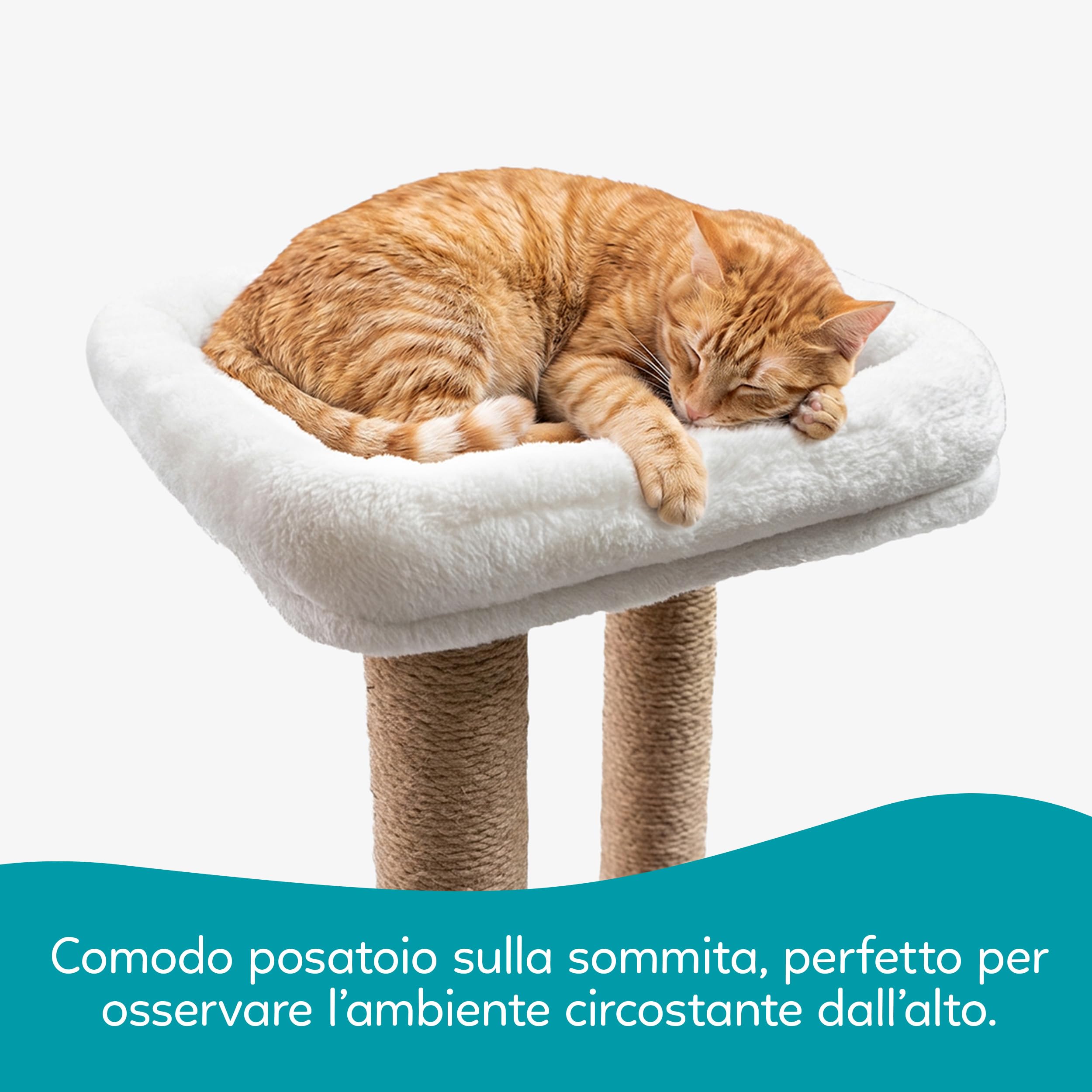 Aqpet Tiragraffi XXL 140 cm In corda di Sisal con Doppia Cuccia e piattaforma per il massimo divertimento del tuo gatto