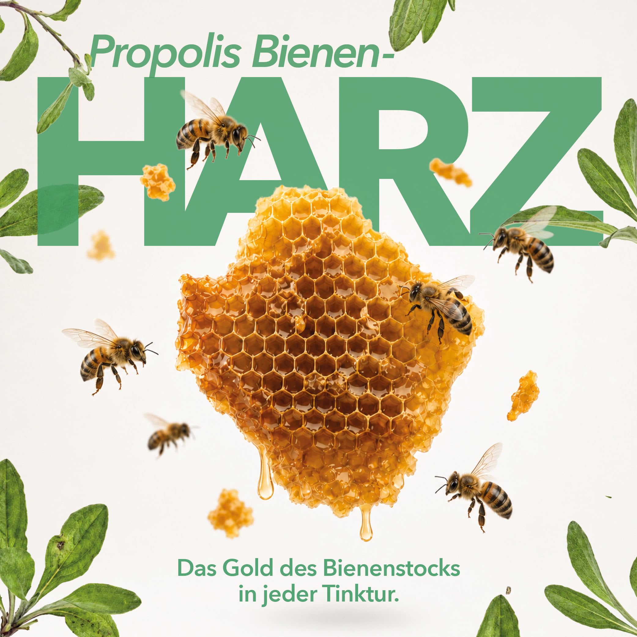 Propolis Tinktur Bio SAGRUSAN 100 ml – Bio Propolis Extrakt vegan aus biologischer Imkerei, alkoholischer Propolis Auszug naturreine Propolis Tropfen im Braunglas aus Österreich | 10 Jahre MHD