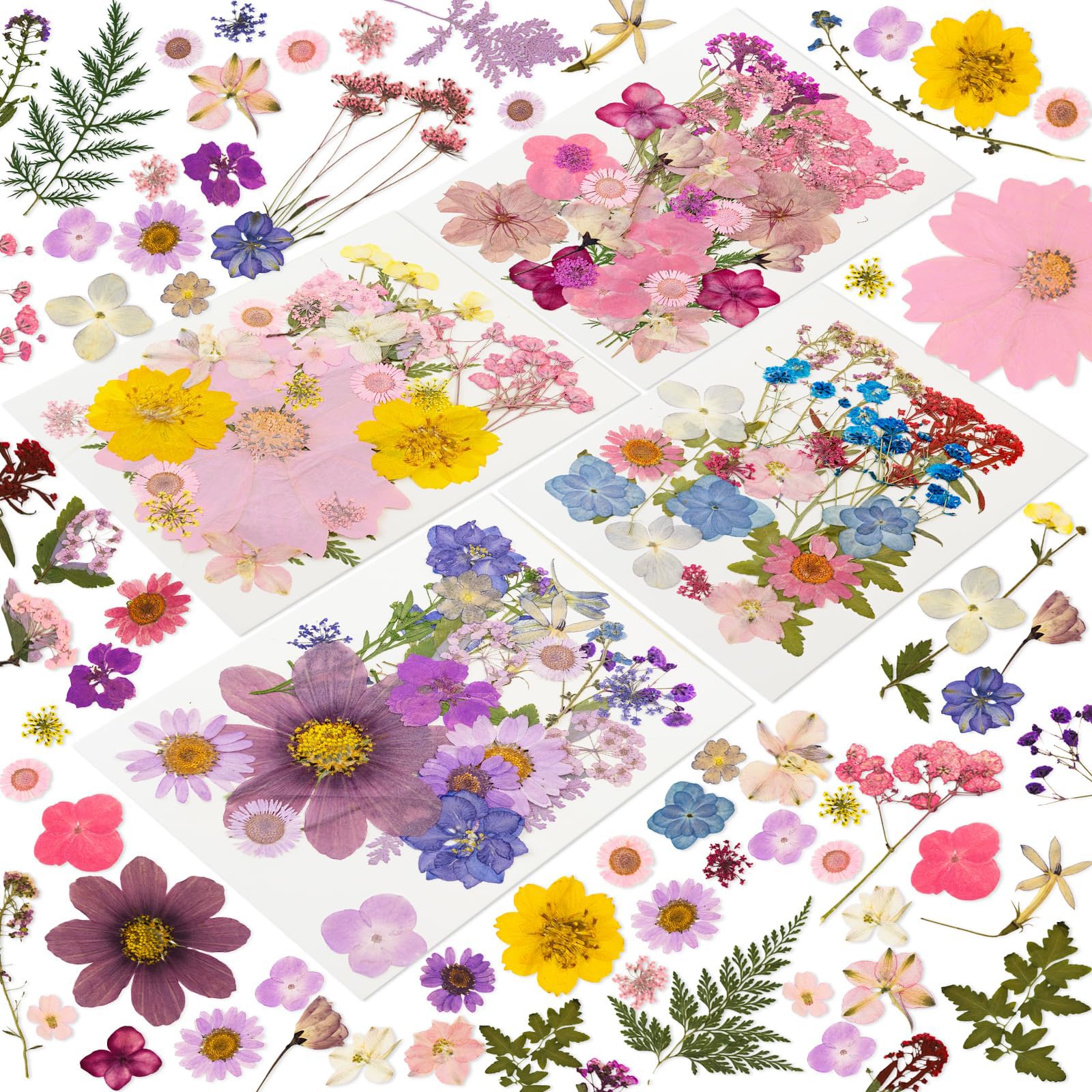 Tastetreasure 204 Pcs Real Natural Dried Pressed Flowers and Leaves Set Purple & Pink Mix for Epoxy Resin Molds, Candle Making, Nail Art, Soap DIY & Phone Case Decor Vacuum Sealed