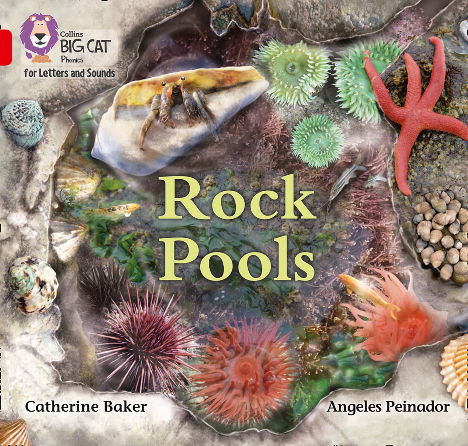 Rock Pools: Band 02B/Red B