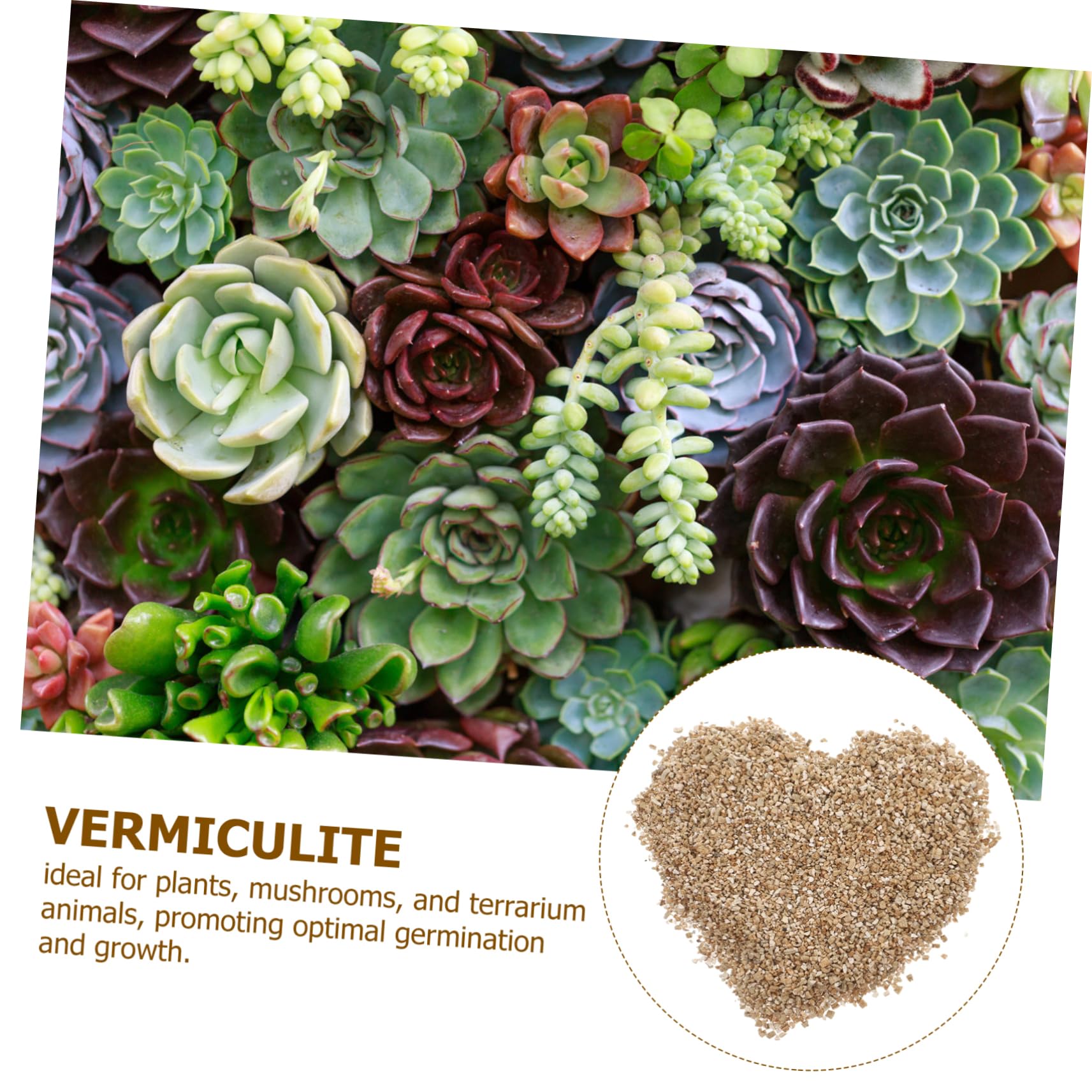 Vermiculite Horticole Fine 3l pour Jardinage et Croissance des Plantes | Rétention D’eau Élevée, Ph Neutre, Usage Maison pour Jardins et Pots D’intérieur