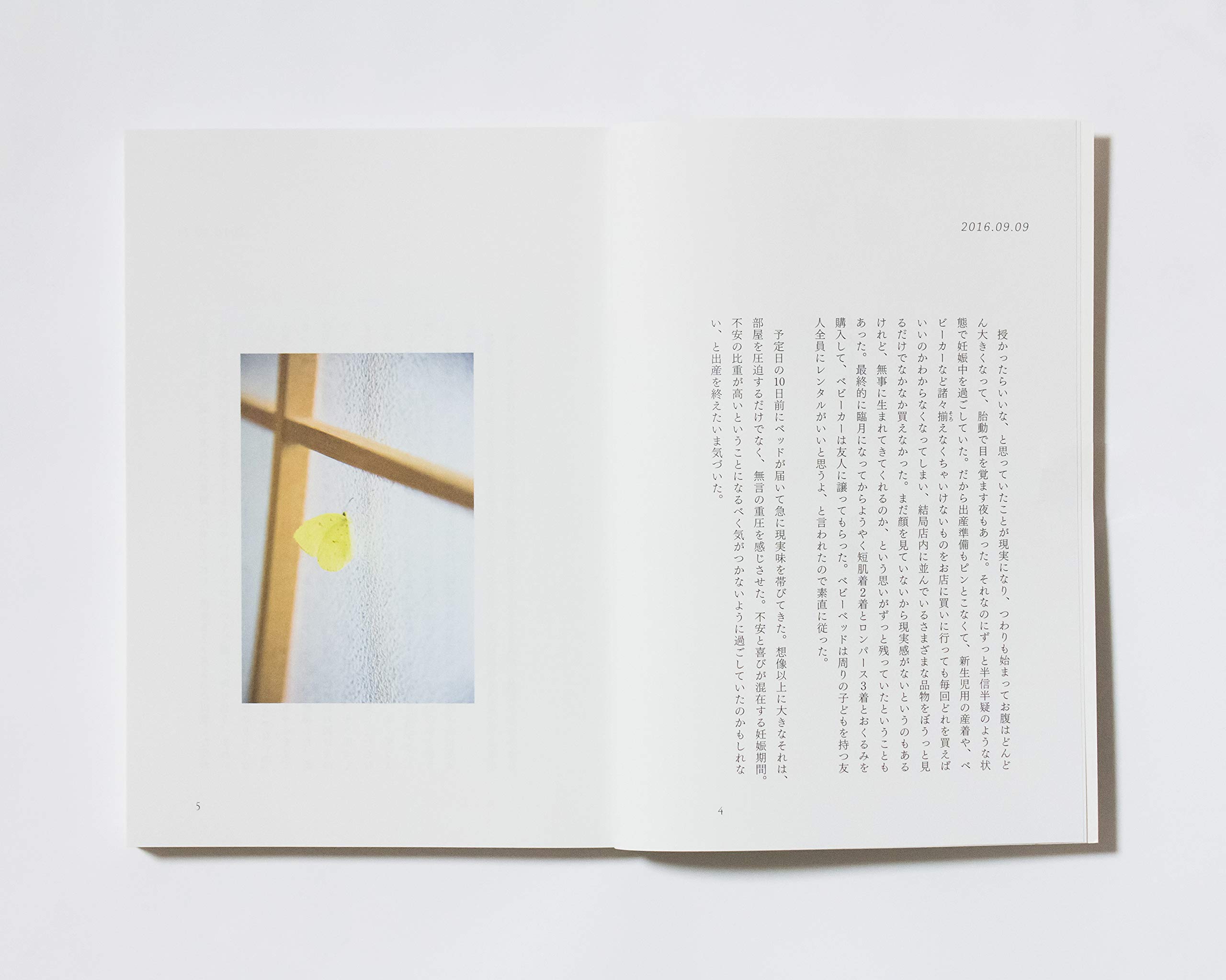 Amazon.co.jp: 川内 倫子: 本、バイオグラフィー、最新アップデート