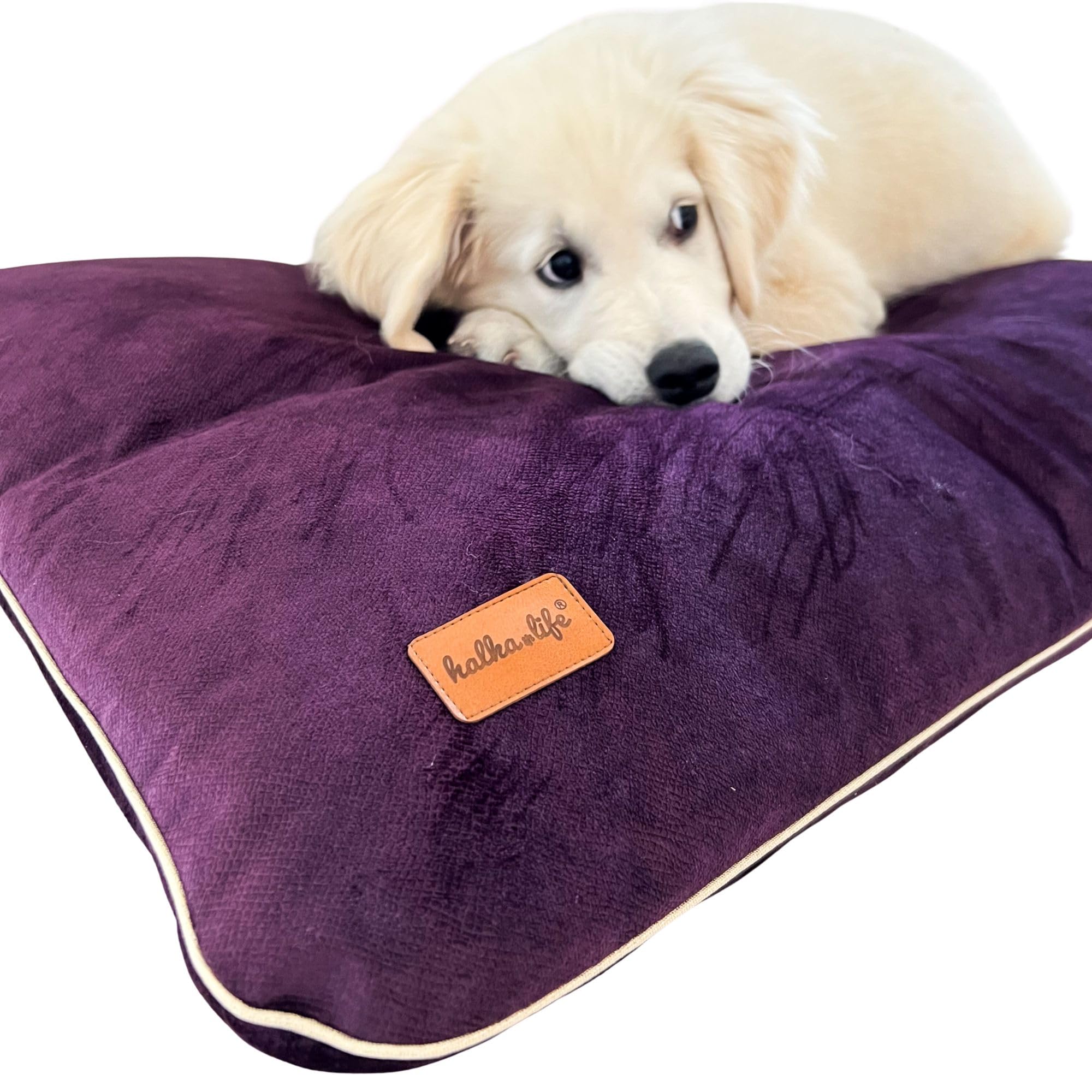 Halkalife Waterproof pillow for dogs and cats. Comfortable, easy to clean pet bed (S, Plum)