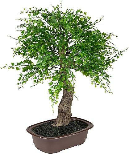 Miniatura 3 de Mini árbol bonsái artificial en maceta - 16"