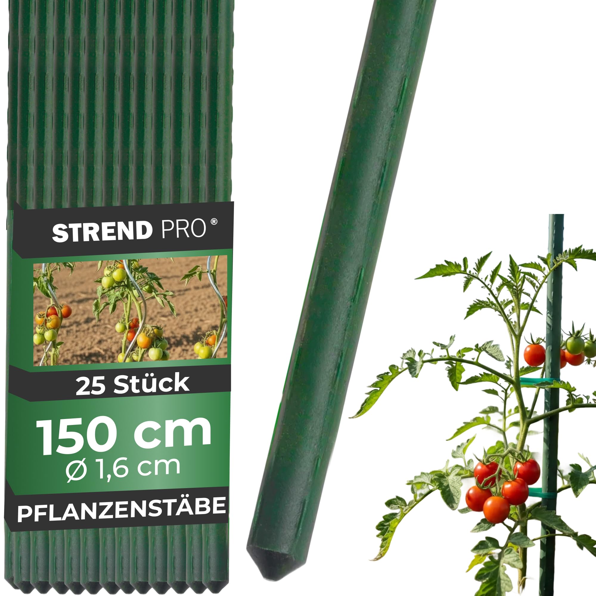 STREND PRO Pflanzstäbe 150 cm - 25 STK. Set | Ø 16 mm Stahl + Kunststoff | Rankstab Grün | Tomaten & Bohnenstangen | Pflanzenstütze groß | Metalle Rankhilfe | Stützstäbe für Pflanzen | Pflanzstütze