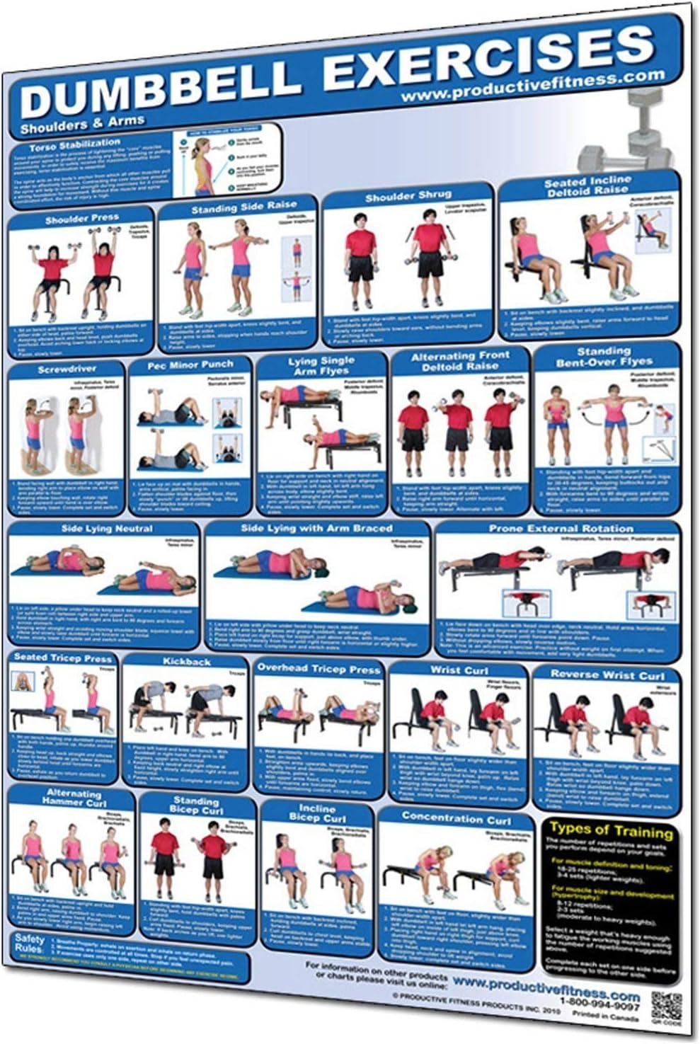 Poster Series Dumbbell Exercises Upper Body Paper