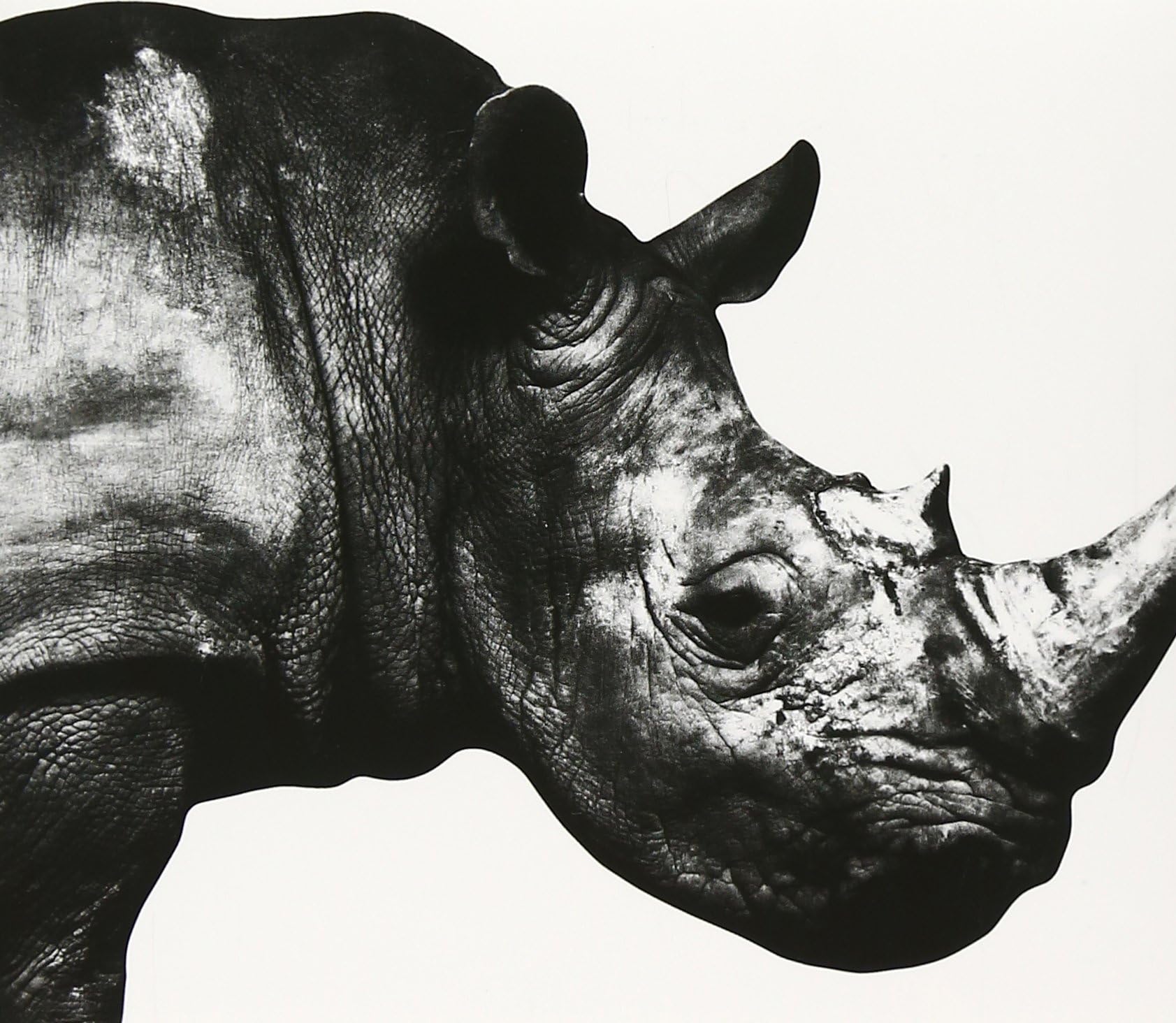 Mr. Children 1992-1995