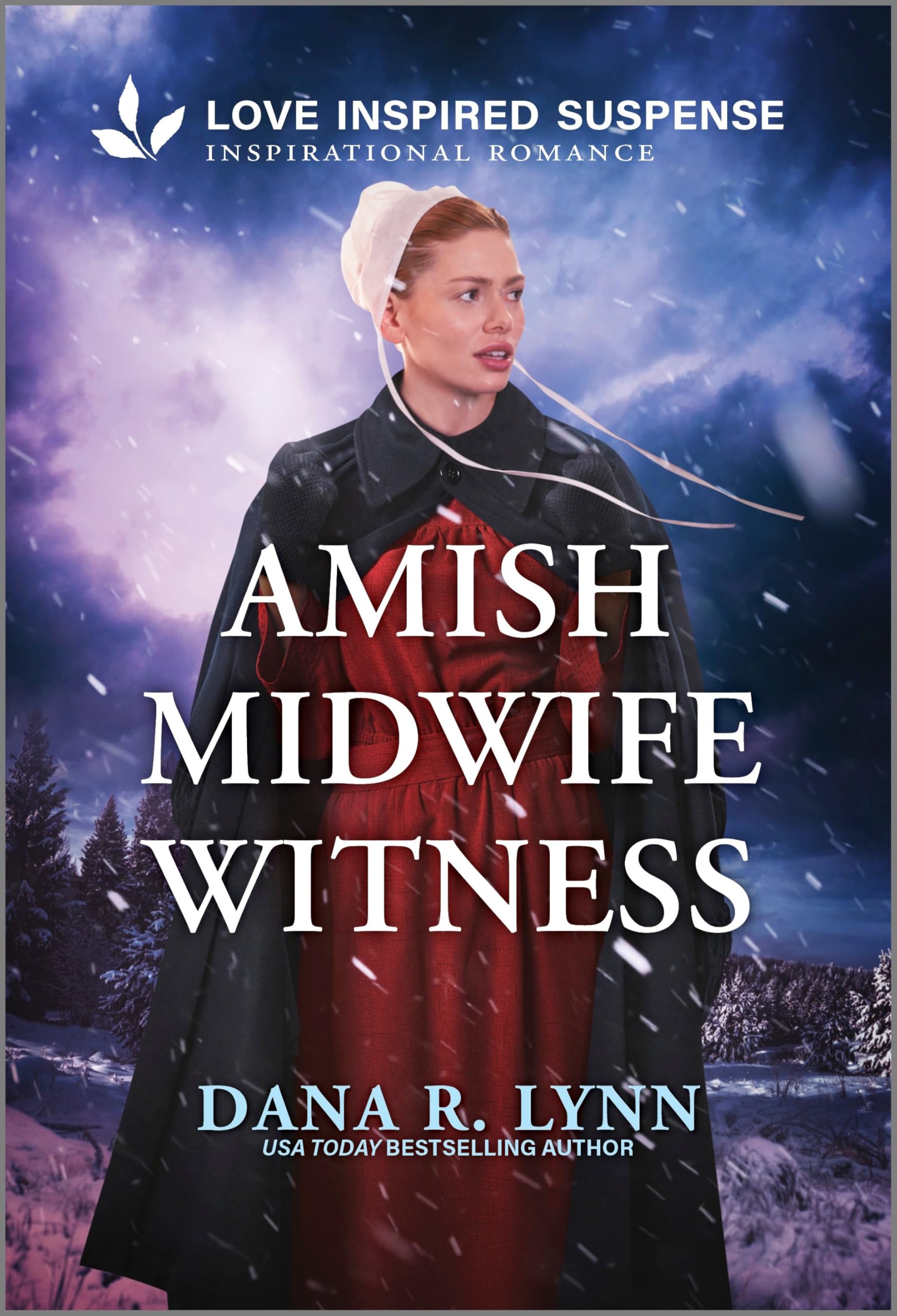 Amish Midwife Witness (Amish Country Danger Book 1)