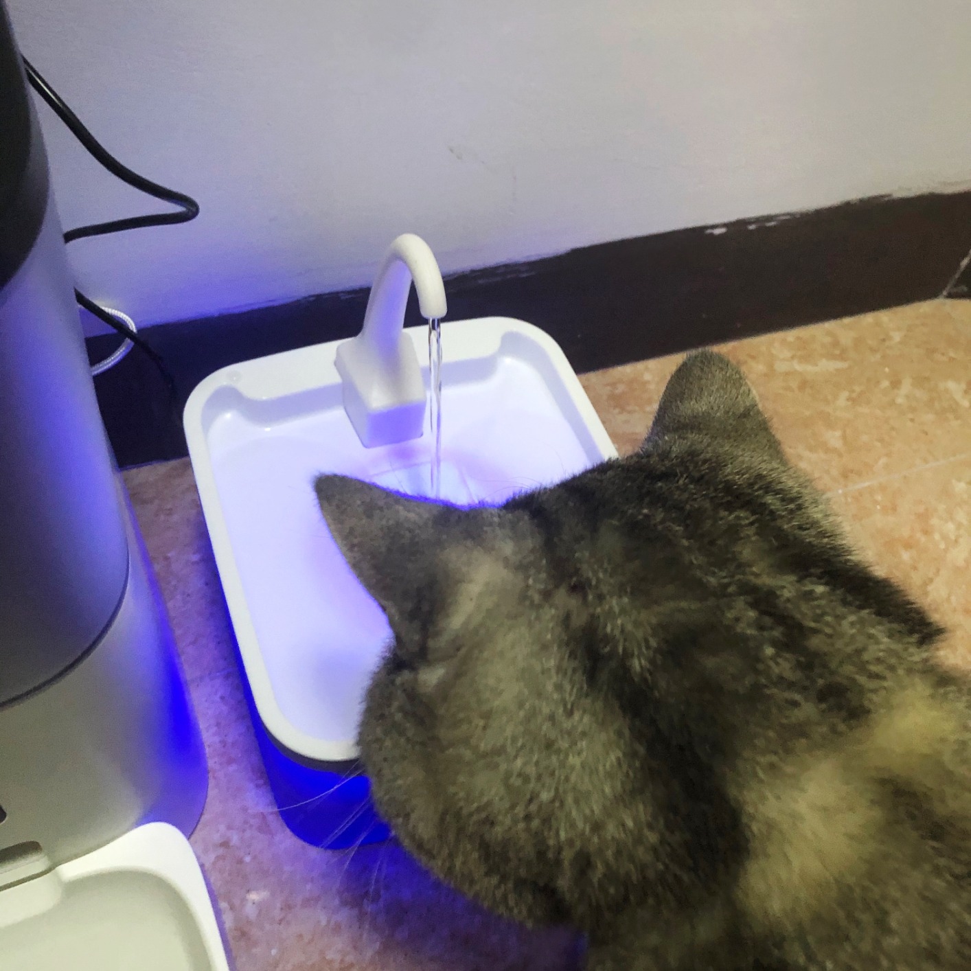 12/mo Finance Asapet 4L Automatic Cat Feeders and 2L Cat Water