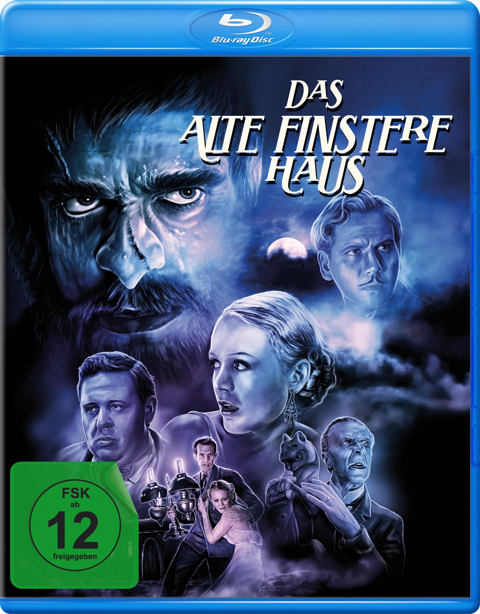 Das alte finstere Haus (Das Haus des Grauens)