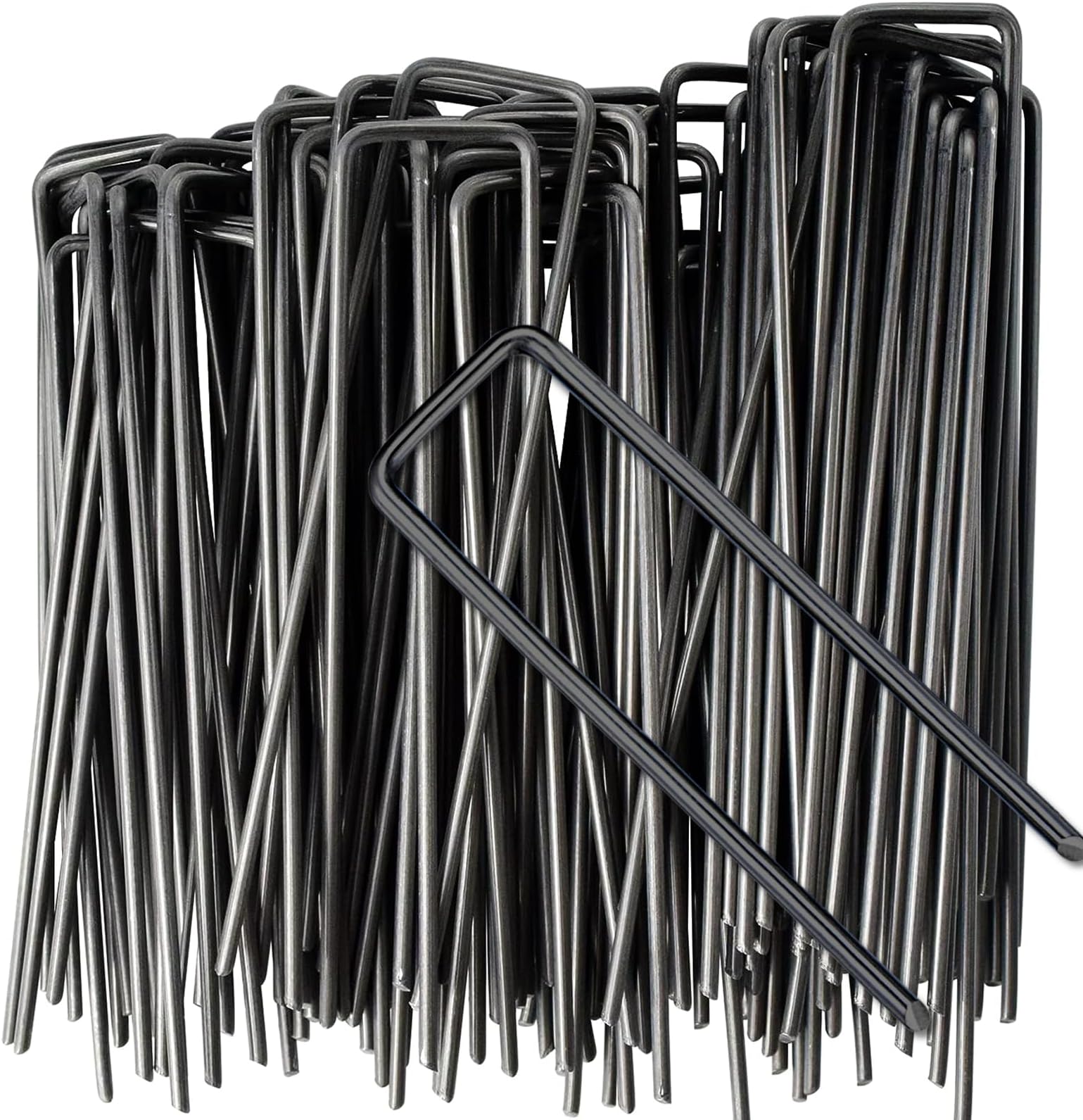 SeedPal Sardines De Fixation En Acier Galvanisé (50 Pièces) - Agrafes