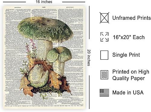Miniatura 507 de Poster Master Póster vintage de orquídea, estampado de flores retro, arte de pared de plantas exóticas, arte botánico, regalo para hombres y