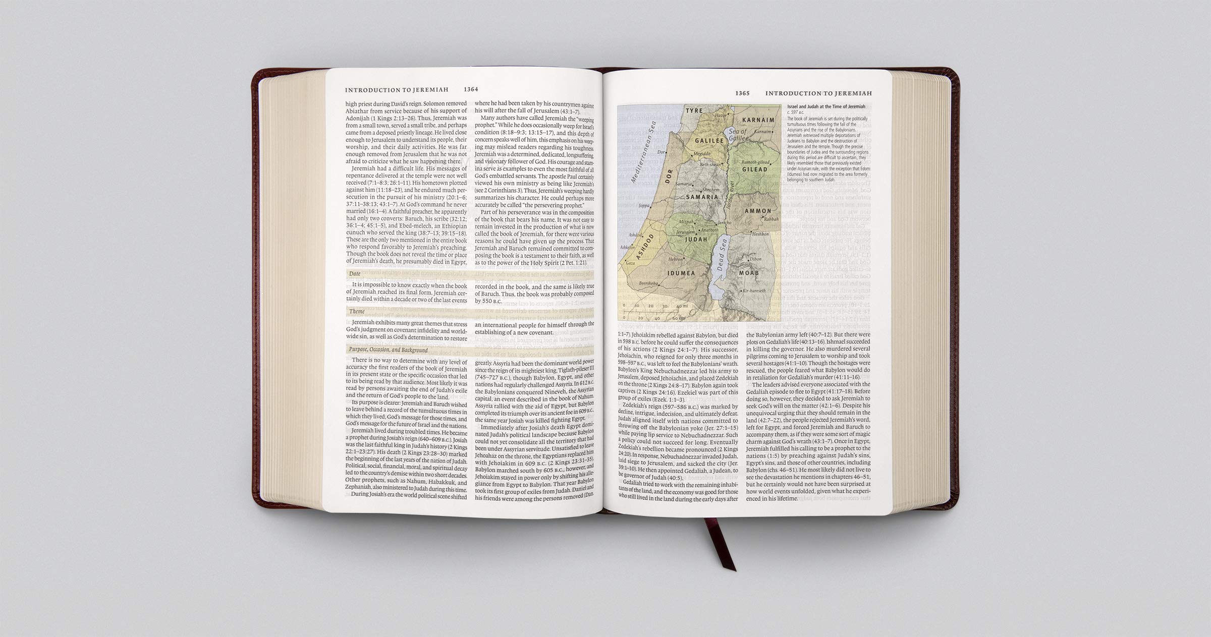 Holy Bible: English Standard Version, Trutone, Burgundy/Red, Timeless Design, Study