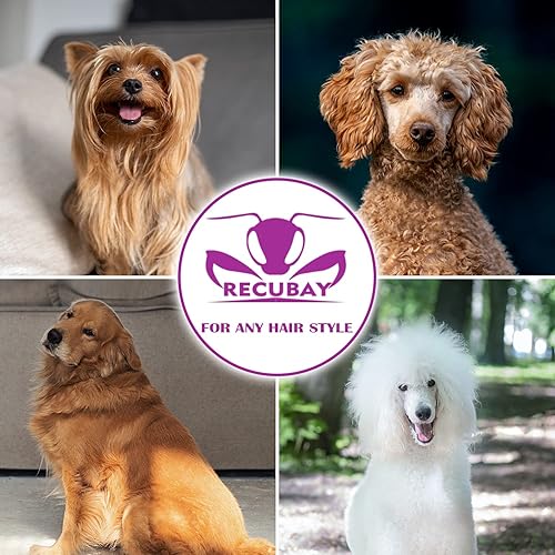 Miniatura 6 de Tijeras de aseo para perros, tijeras de 7.0 pulgadas con color mate de lujo, 56 tijeras de adelgazamiento de dientes