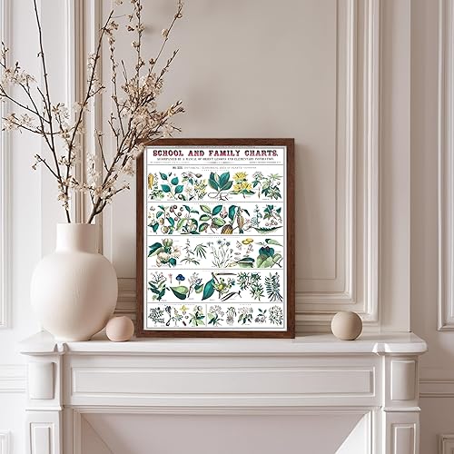 Miniatura 369 de Poster Master Póster vintage de orquídea, estampado de flores retro, arte de pared de plantas exóticas, arte botánico, regalo para hombres y