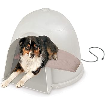 irish wolfhound puppy weight