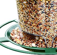 Vista 5 de Comedero para pájaros colgante al aire libre para semillas de aves silvestres, verde