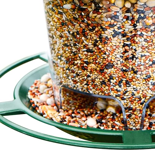 Miniatura 5 de Comedero para pájaros colgante al aire libre para semillas de aves silvestres, verde