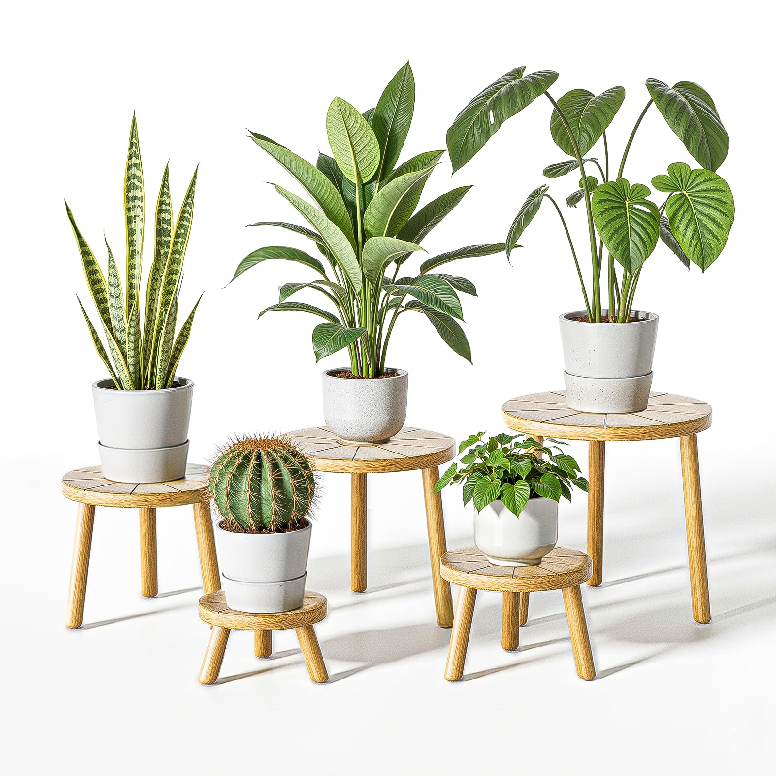 Amazon.com: Delma Wood Plant Stands Indoor, 5-Pack Single Plant
