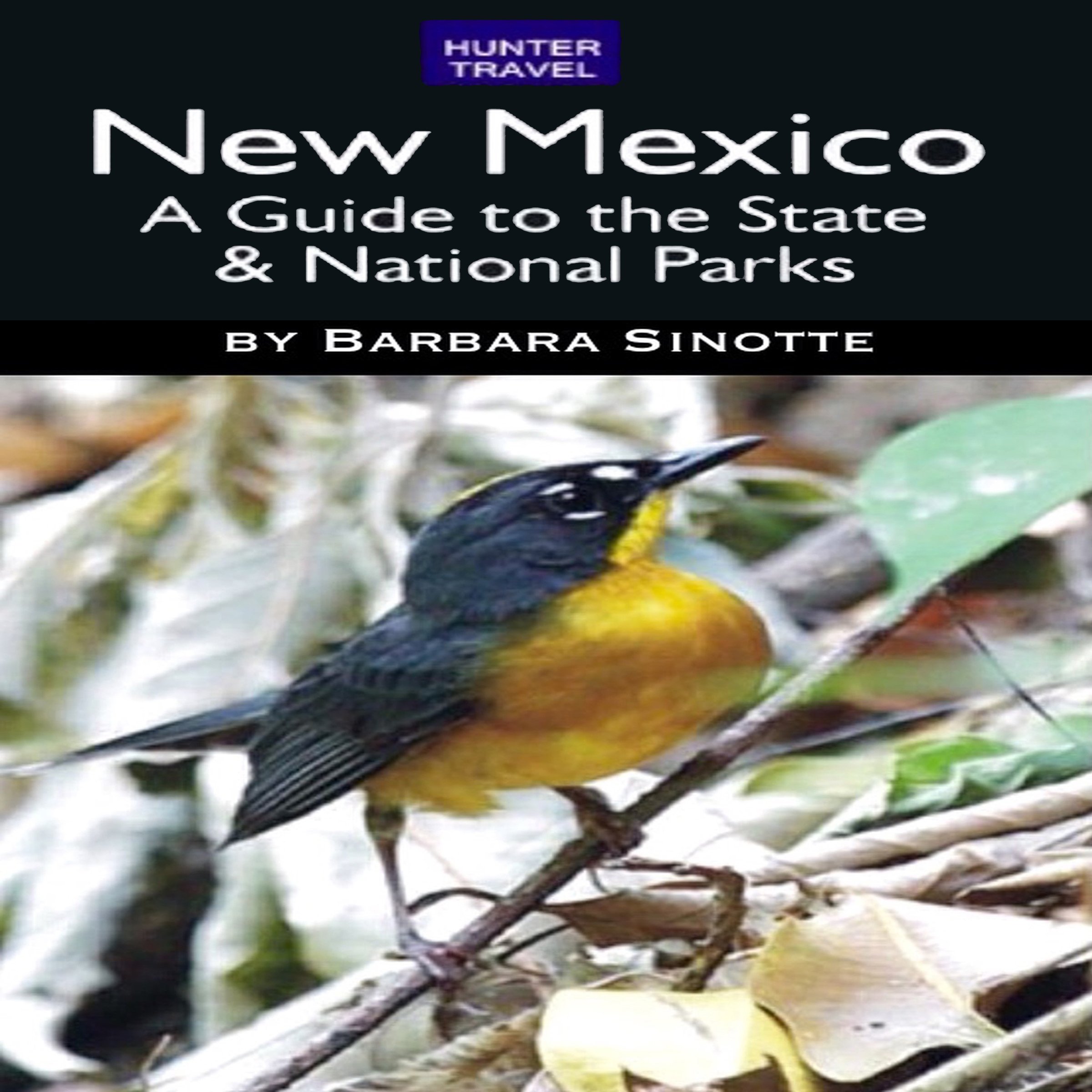 New Mexico: A Guide to the State & National Parks