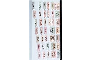 Laminated Bible Tabs for Easy Study and Referencing