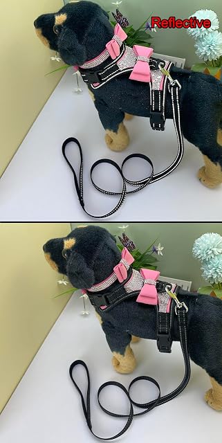 Foto 3 de 6 de Newtensina 3 Piezas Pajaritas Bling Lindo Perro arnes y Perro Collar con Correa para Perro - Rosa - M
