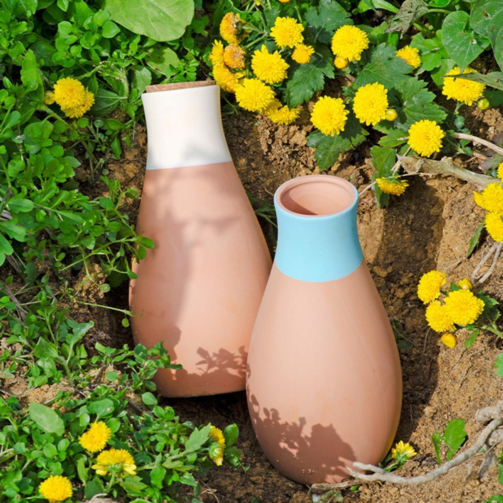 Pics d'arrosage pour en terre cuite : insert de pot de bowling en céramique, piquets à libération lente, cône d'arrosage automatique | Pour intérieur et extérieur, fleurs, jardin, vacances
