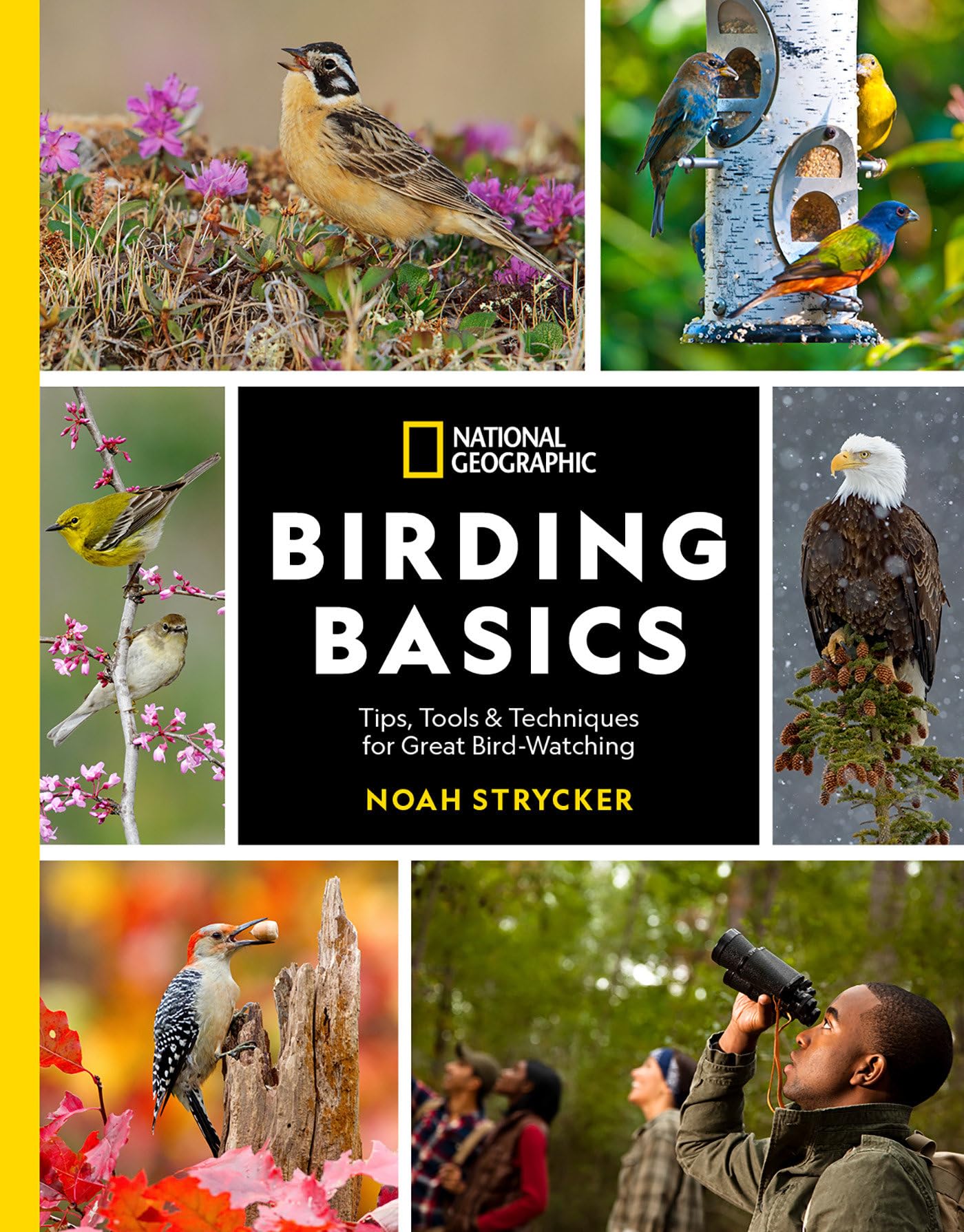 National Geographic Birding Basics by Noah Strycker PAPERBACK 9781426222191