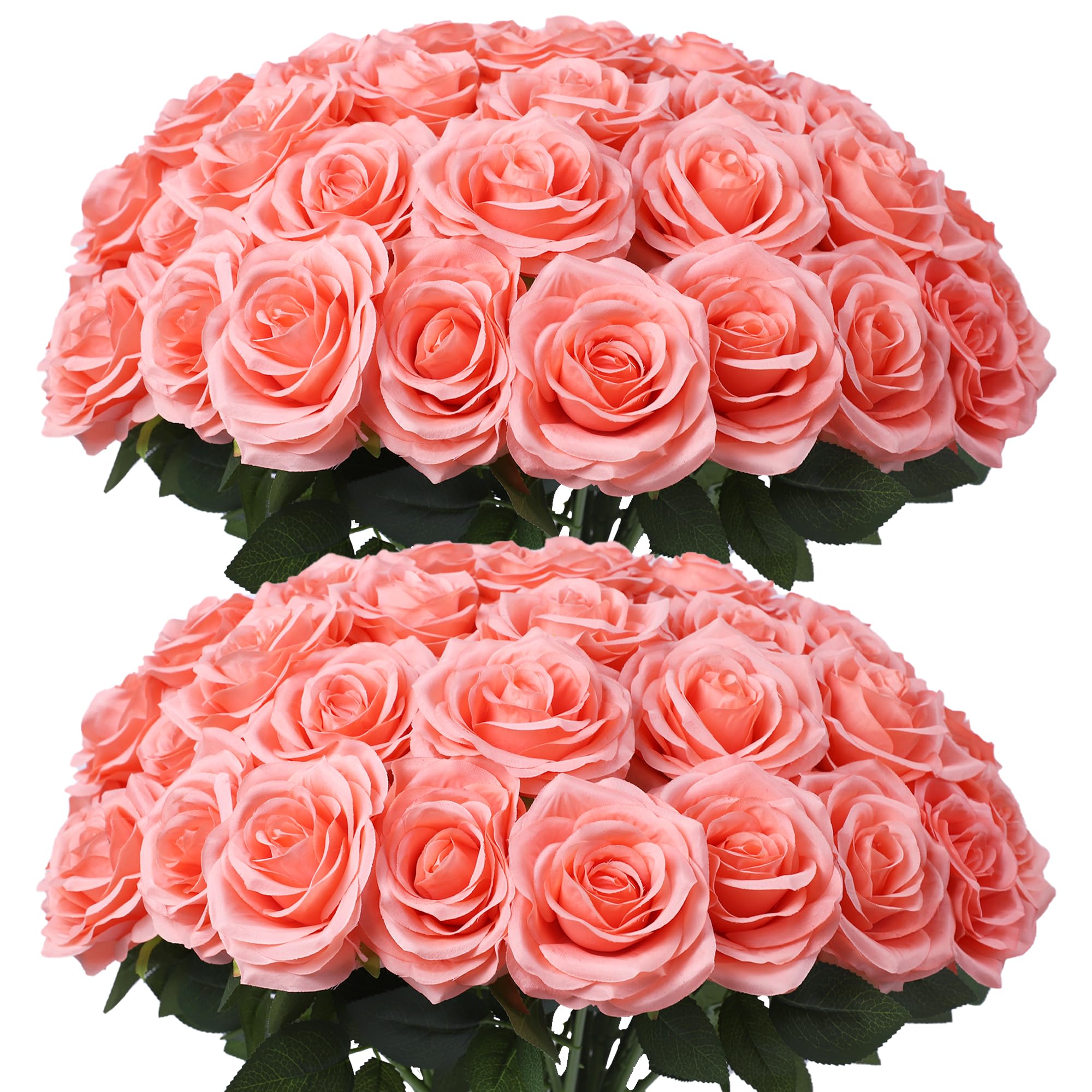 LVEFIT 50pk Coral Peach Silk Roses