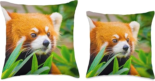 Miniatura 3 de Red Panda - Almohada (16.0 x 16.0in), multicolor