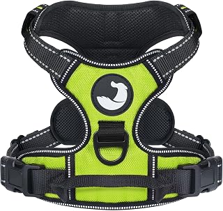 Joytale Anti-Zug Hundegeschirr für mittelgroße Hunde, Grün, M | Perfekter Sitz, gepolstert & reflektierend, 2 Anleinpunkte (vorne & hinten), Haltegriff für Treppen & Auto, für Training