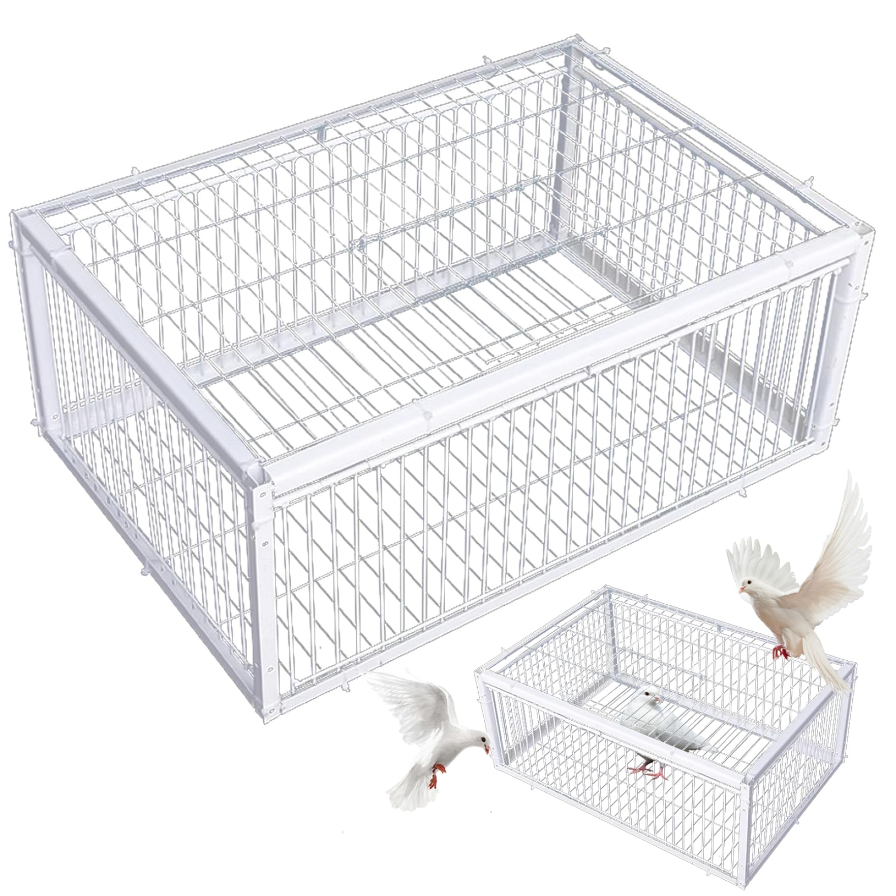 Trampa para Palomas con Cuatro entradas de Acceso unidireccional Trampa para pájaros Jaula para Palomas de 16x12x10 Pulgadas con Jaula para Granjas, graneros, Jardines, cría de