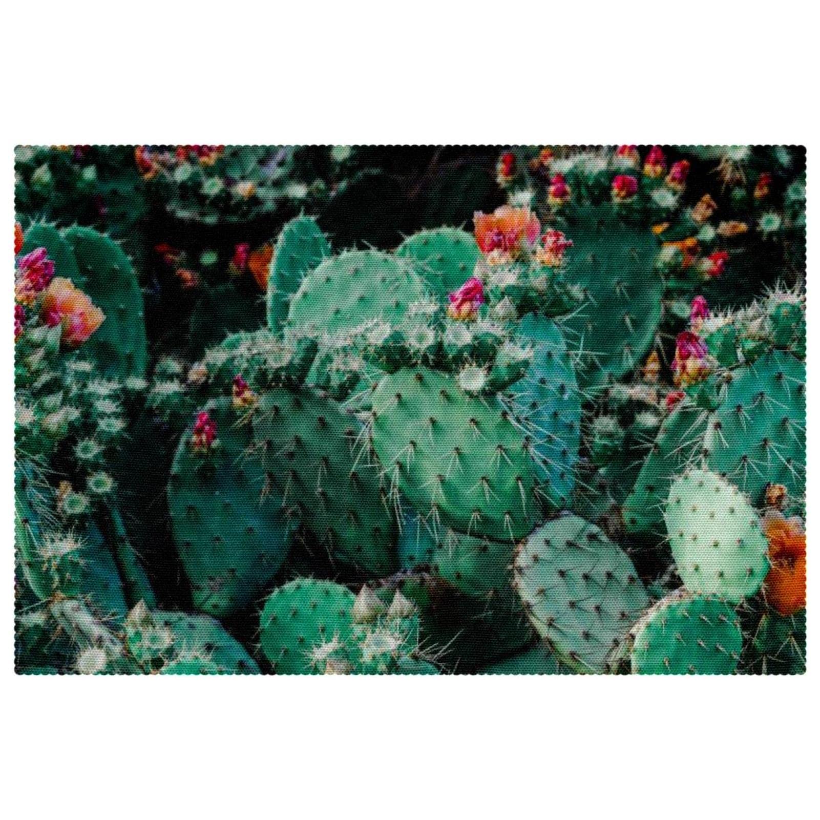 Sets de table Blooming Cactus lot de 6 tapis de salle à manger 30,5x45,7 cm